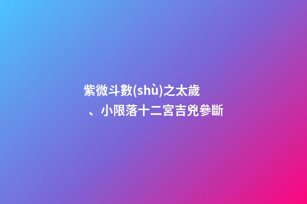 紫微斗數(shù)之太歲、小限落十二宮吉兇參斷